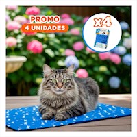 Pack4 Cojin Compacto para Piso Patron Huesitos 50x65cm MD Azul Y+Papel Regalo